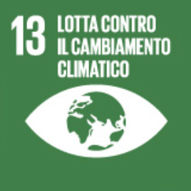 Goal 13 - Agire per il clima