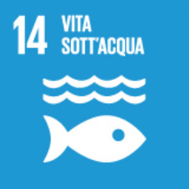 Goal 14 - La vita sott'acqua