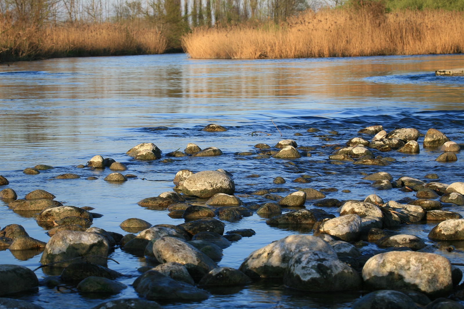 Fiume