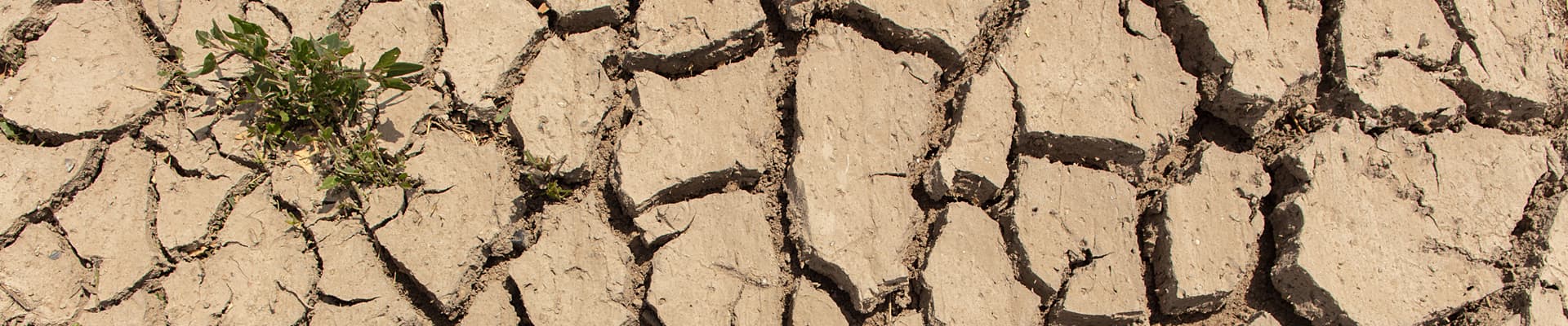 Un suolo arido e frammentato
