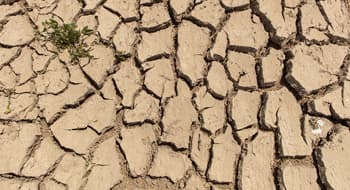 Un suolo arido e frammentato