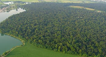 Il Parco Mincio e i territori&nbsp;dell’area Gal